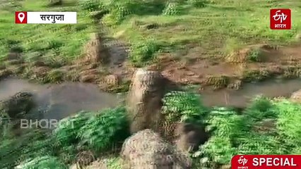 उल्टा पानी: पानी और कार का गुरुत्वाकर्षण को चुनौती देने वाला ऑप्टिकल भ्रम