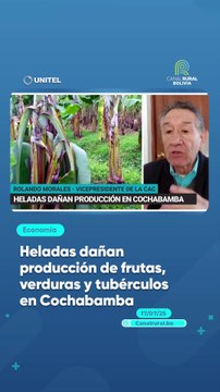 Heladas dañan producción de frutas, verduras y tubérculos en Cochabamba