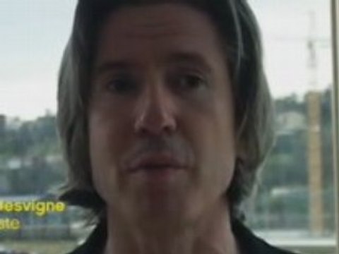 Lyon Confluence / Concertation phase 2 / M. Desvigne