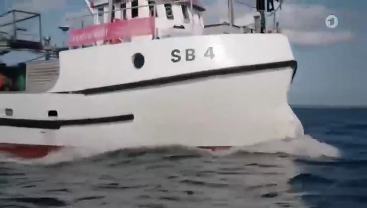 Die Kanzlei - Reif für die Insel