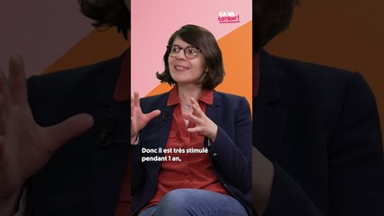 LA VÉRITÉ SUR LES FRATRIES #parentépuisé #parentalité #interview #parents