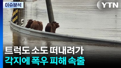 트럭도 소도 떠내려가...각지에 폭우 피해 속출 / YTN
