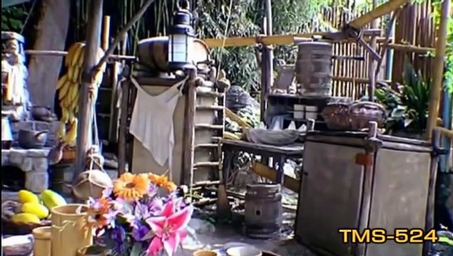 Swiss Family Treehouse Disneyland History TMS-524