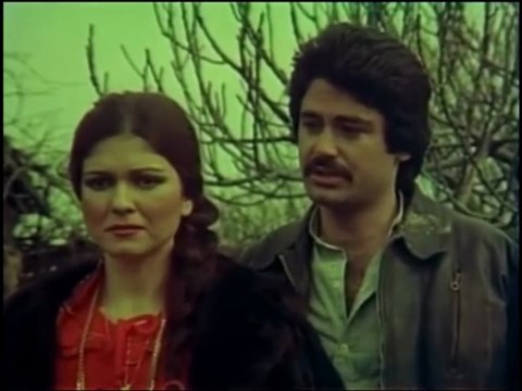 Dilek Taşı 1978 Gülden Karaböcek VHS Türk Filmi