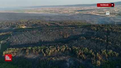 Tekirdağ'da çıkan orman yangını kısmen kontrol altına alındı