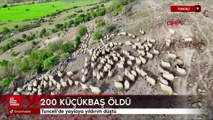 Tunceli’de yaylaya yıldırım düştü; 200 küçükbaş öldü
