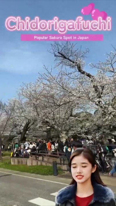 #chidorigafuchi #sakura #cherryblossom #japan #sightseeing