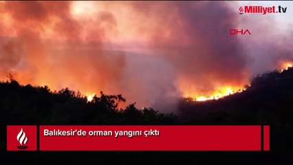 Balıkesir’de orman yangını! Alevler mahallenin sınırına dayandı