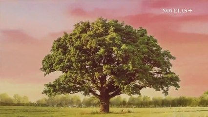 Na miłosc nie ma recepty - 01