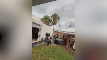 Es el mejor "gender reveal" que verán nunca: suma 5M de visitas y merece la pena cada una de ellas