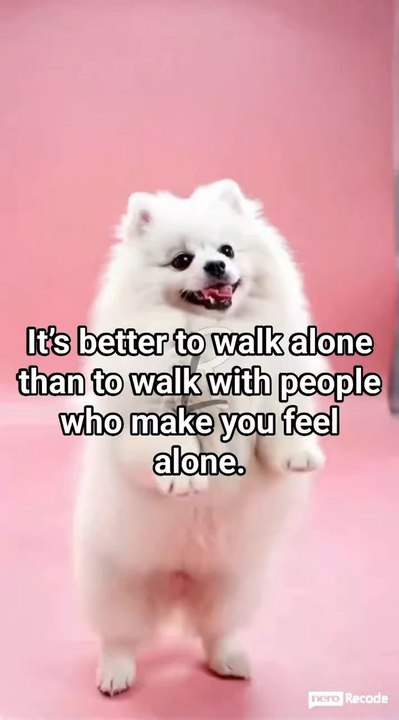 It's better to walk alone than to walk with people who make you feel alone. 🤗