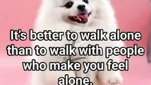 It's better to walk alone than to walk with people who make you feel alone. 🤗