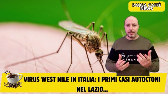 Virus West Nile in Italia i primi casi autoctoni nel Lazio...