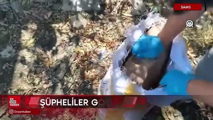 Samsun'da kargo paketinde 6 bin 552 sentetik ecza hapı ele geçirildi