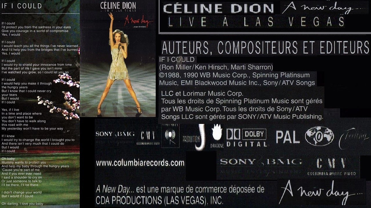 CELINE DION — IF I COULD
