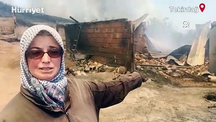 Tekirdağ’da orman yangınında ağılları zarar gören besiciler yaşadıklarını anlattı