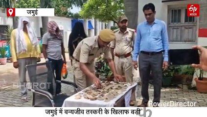 बिहार में पैंगोलिन स्केल्स के साथ तीन तस्कर गिरफ्तार, कीमत जान हो जाएंगे हैरान