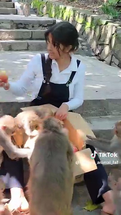 Animal feed | monkey rushes