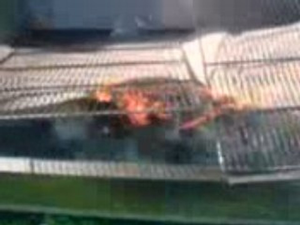 Saint sauveur la pommeraye