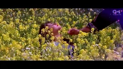 Chun Liya Maine/1996 Beqabu / Sanjay Kapoor , Mamta Kulkarni , Udit Narayan, Alka Yagnik