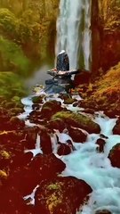 Mera Bhola - KRISHAN GOPAL Sharma