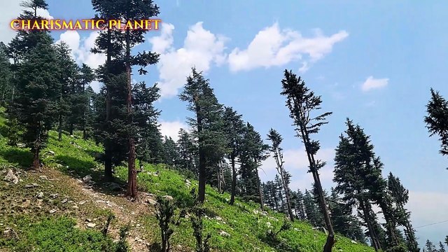 Kumrat Waterfall | Breathtaking Natural Beauty in Pakistan