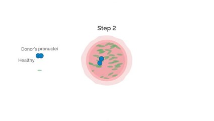 Pioneering IVF technique which created eight healthy babies unveiled by researchers