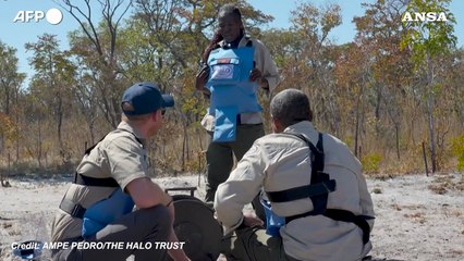 Il principe Harry come Diana, tra i campi minati dell'Angola