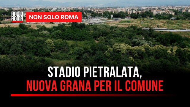 Stadio della Roma, nuove grane per il progetto a Pietralata A rischio 41 specie di volatili