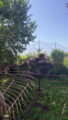 LE PLUS GROS éléphant du Zoo de Beauval