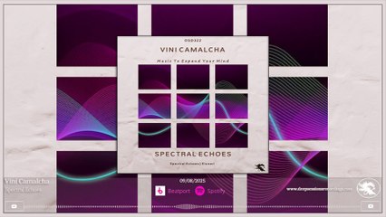 DSD322 Vini Camalcha - Spectral Echoes • Deepsessions Digital