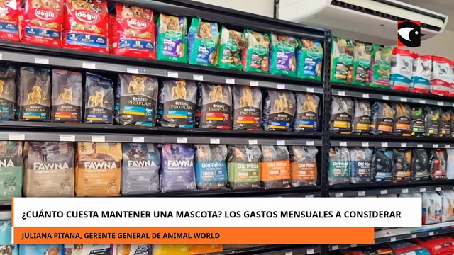 ¿Cuánto Cuesta Mantener Una Mascota? Los Gastos Mensuales A Considerar