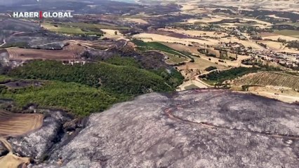 Yangında tahribatın boyutu can yaktı! Dev alanlar kül oldu