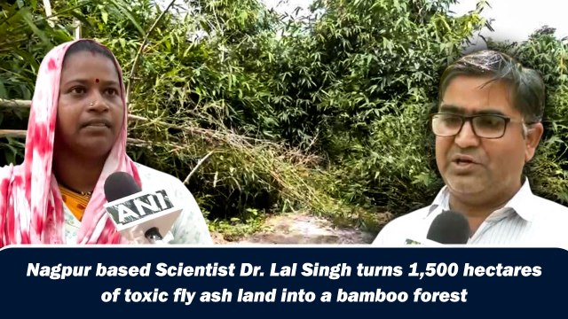 Nagpur based Scientist Dr. Lal Singh turns 1,500 hectares of toxic fly ash land into a bamboo forest