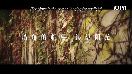 City of Romance | Official Trailer – A Heartwarming Love Story 💖