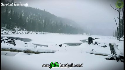 Surviving a Snowstorm I Survived Alone with Only Primitive Tools