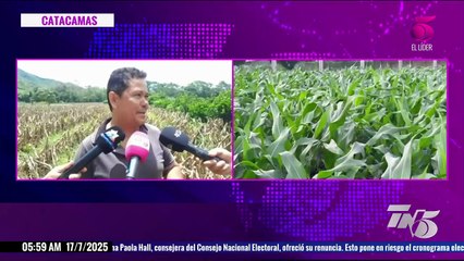 TN5 Matutino - 17 de julio de 2025