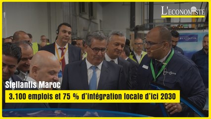 Stellantis Maroc : 3.100 emplois et 75 % d’intégration locale d’ici 2030