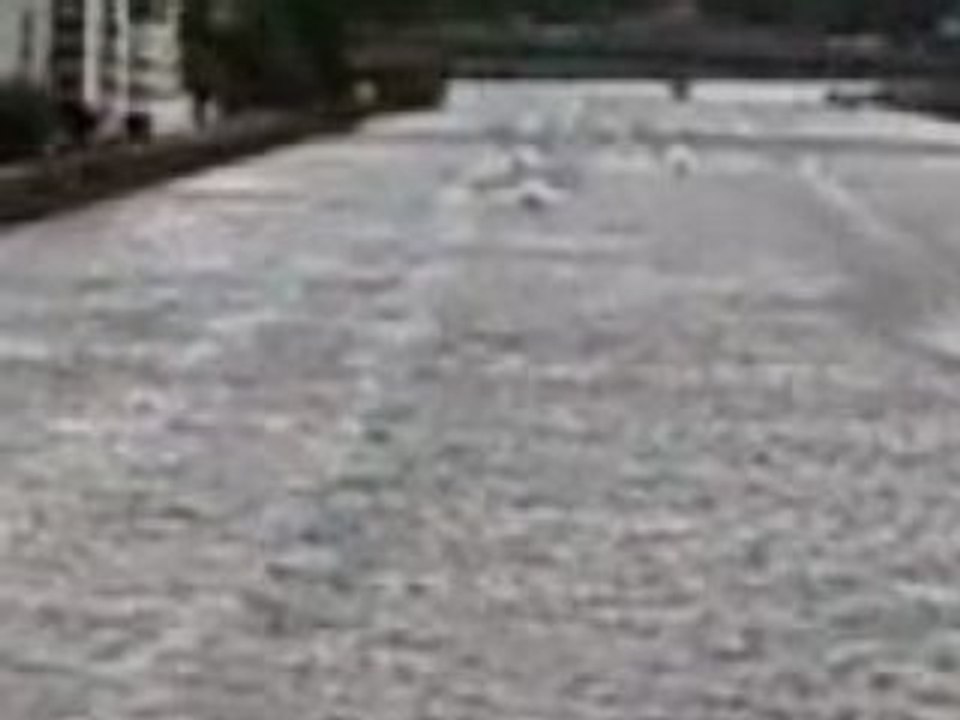 24h motonautiques de rouen 1er mai 2008 14H27