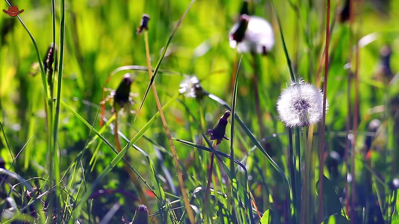 Top Country Songs 2025 🎸 Morgan Wallen, Luke Combs, Jason Aldean 🎸 Best Country Playlist