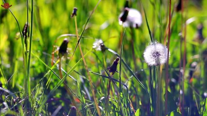 Top Country Songs 2025 🎸 Morgan Wallen, Luke Combs, Jason Aldean 🎸 Best Country Playlist