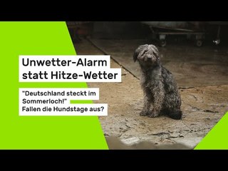 Unwetter-Alarm statt Hitze-Wetter: "Deutschland steckt im Sommerloch!" Fallen die Hundstage aus?