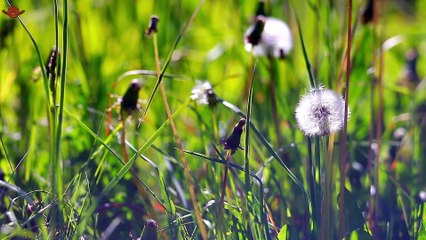 Top Country Songs 2025 🎸 Morgan Wallen, Luke Combs, Jason Aldean 🎸 Best Country Playlist_Part 02