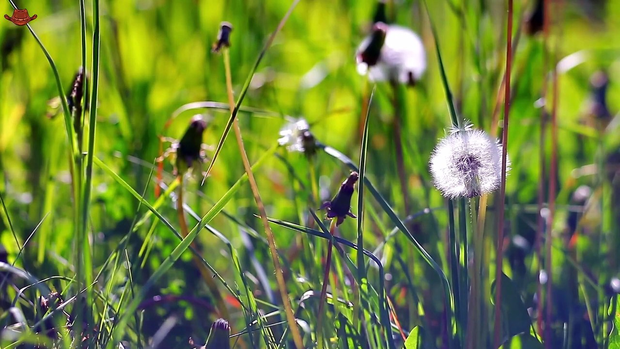 Top Country Songs 2025 🎸 Morgan Wallen, Luke Combs, Jason Aldean 🎸 Best Country Playlist_Part 02