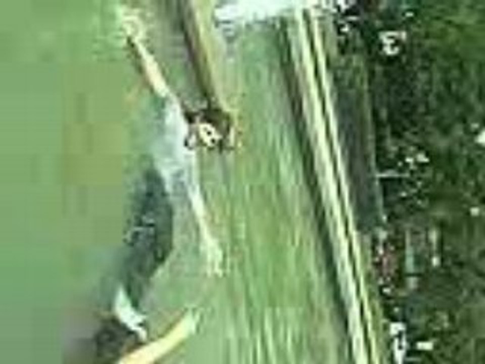Bassin