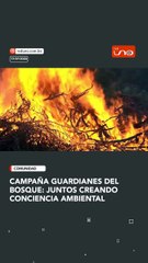 CAMPAÑA GUARDIANES DEL BOSQUE