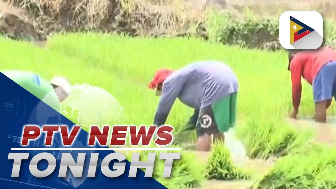 Marcos administration to continue implementing programs aimed at improving Ph agri sector’s climate resiliency