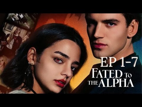 Fated to the Alpha Full Movie Reelshort