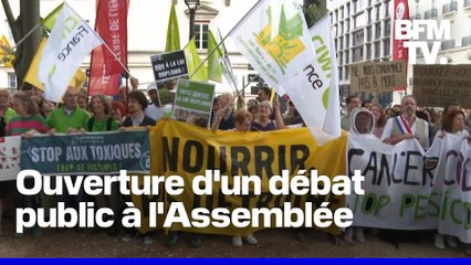 La pétition contre la loi Duplomb peut-elle changer quelque chose ?