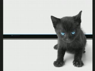 jeu concours musique